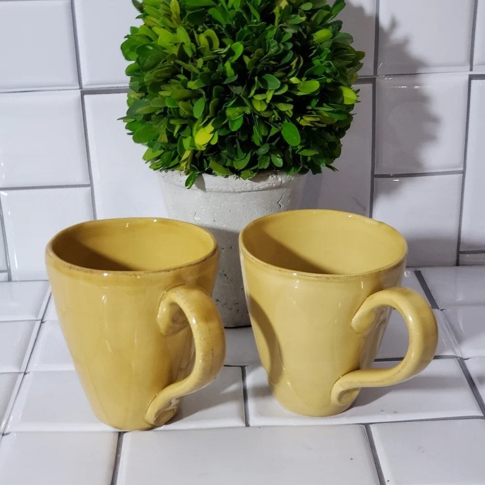 NWOT Lot of 2 Z GALLERIE Mugs  Made in Italy Color